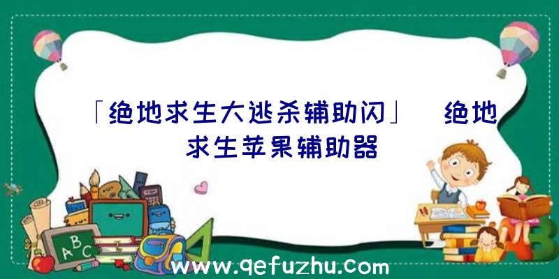 「绝地求生大逃杀辅助闪」|绝地求生苹果辅助器